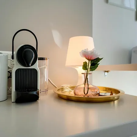 Elegant In Apartman Graz